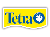 Tetra