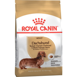 Royal Canin Dachshund корм для собак породы Такса