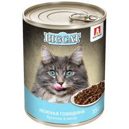 Зоогурман Big Cat консервы для кошек кусочки в желе, Нежная говядина 350г