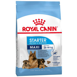 Royal Canin  Maxi Starter Корм для щенков крупных пород