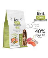 Brit Care Medium Корм для собак средних пород Здоровая кожа и шерсть с лососем и индейкой
