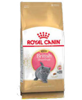 Royal Canin Kitten British Shorthair корм для котят Британской породы